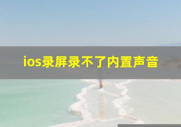 ios录屏录不了内置声音