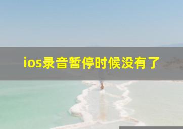 ios录音暂停时候没有了