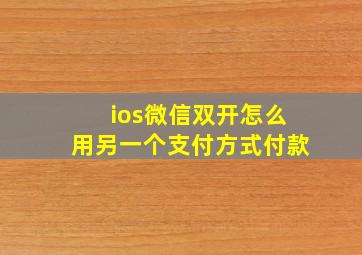 ios微信双开怎么用另一个支付方式付款