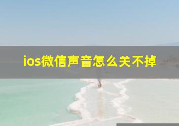 ios微信声音怎么关不掉