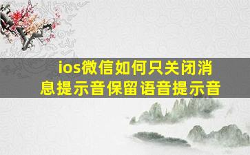 ios微信如何只关闭消息提示音保留语音提示音