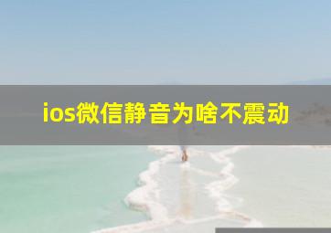 ios微信静音为啥不震动