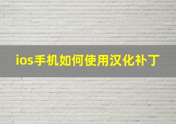 ios手机如何使用汉化补丁