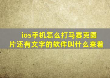 ios手机怎么打马赛克图片还有文字的软件叫什么来着