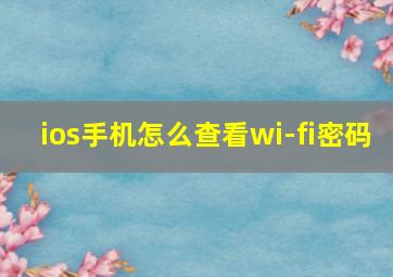 ios手机怎么查看wi-fi密码