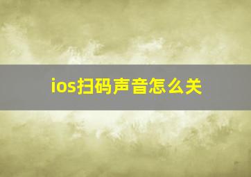 ios扫码声音怎么关