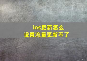 ios更新怎么设置流量更新不了