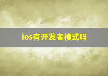 ios有开发者模式吗