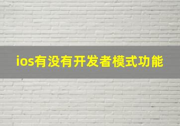 ios有没有开发者模式功能