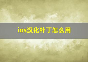 ios汉化补丁怎么用