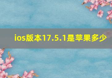 ios版本17.5.1是苹果多少