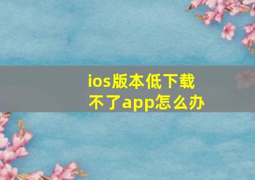 ios版本低下载不了app怎么办