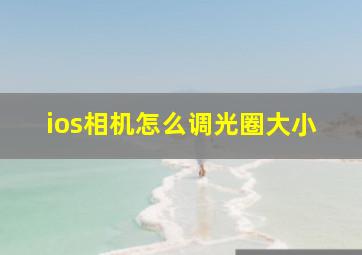 ios相机怎么调光圈大小