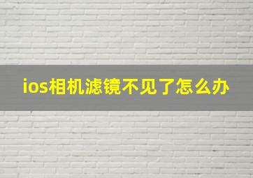 ios相机滤镜不见了怎么办