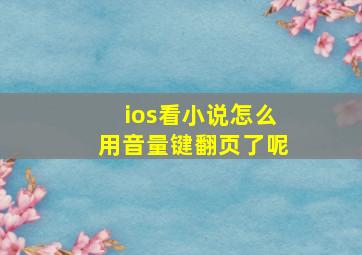 ios看小说怎么用音量键翻页了呢