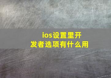 ios设置里开发者选项有什么用