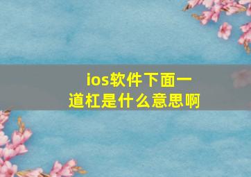 ios软件下面一道杠是什么意思啊