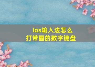 ios输入法怎么打带圈的数字键盘