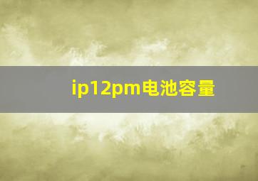 ip12pm电池容量