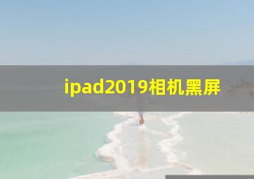 ipad2019相机黑屏