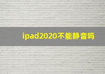 ipad2020不能静音吗