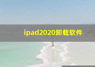 ipad2020卸载软件