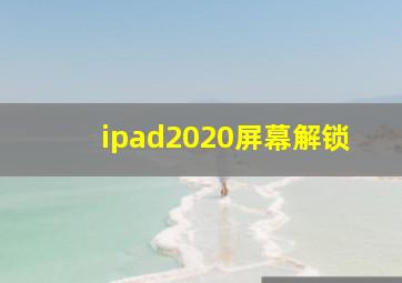 ipad2020屏幕解锁