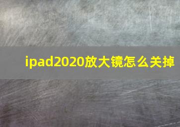 ipad2020放大镜怎么关掉