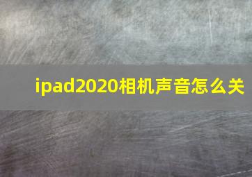 ipad2020相机声音怎么关