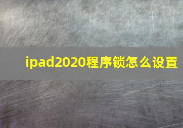 ipad2020程序锁怎么设置