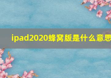 ipad2020蜂窝版是什么意思