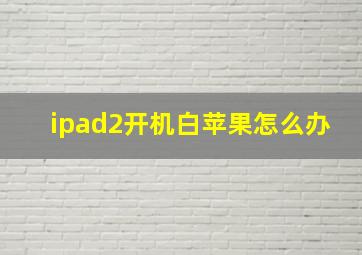 ipad2开机白苹果怎么办