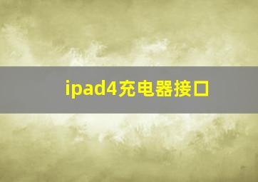 ipad4充电器接口