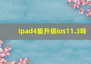 ipad4能升级ios11.3吗