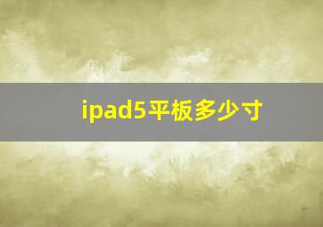 ipad5平板多少寸