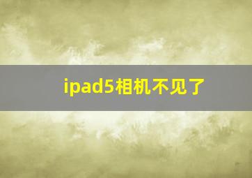 ipad5相机不见了