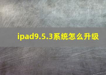 ipad9.5.3系统怎么升级