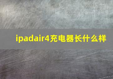 ipadair4充电器长什么样