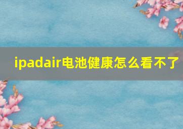 ipadair电池健康怎么看不了