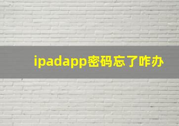 ipadapp密码忘了咋办