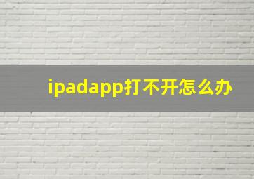 ipadapp打不开怎么办