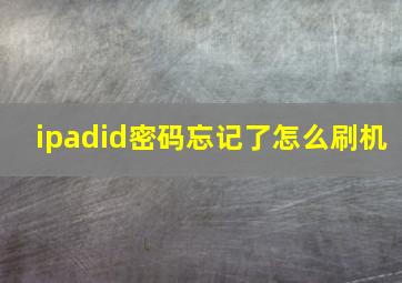 ipadid密码忘记了怎么刷机