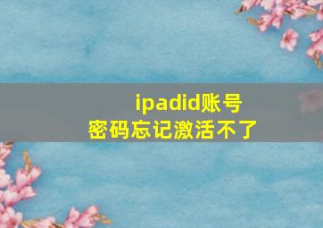 ipadid账号密码忘记激活不了