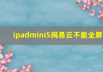 ipadmini5网易云不能全屏