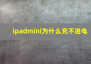 ipadmini为什么充不进电