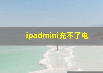 ipadmini充不了电