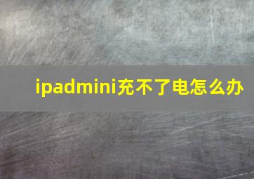 ipadmini充不了电怎么办