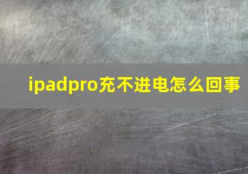 ipadpro充不进电怎么回事