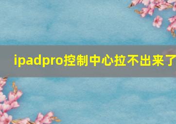 ipadpro控制中心拉不出来了