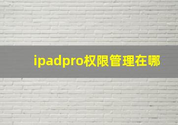 ipadpro权限管理在哪